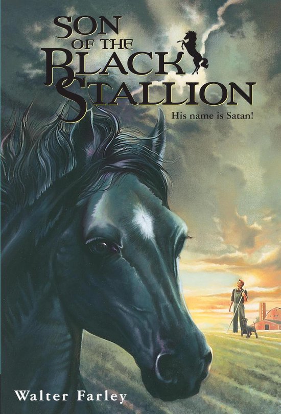 Black Stallion - Son of the Black Stallion - cover