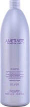 MULTI BUNDEL 4 stuks Farmavita Amethyste Silver Shampoo 1000ml