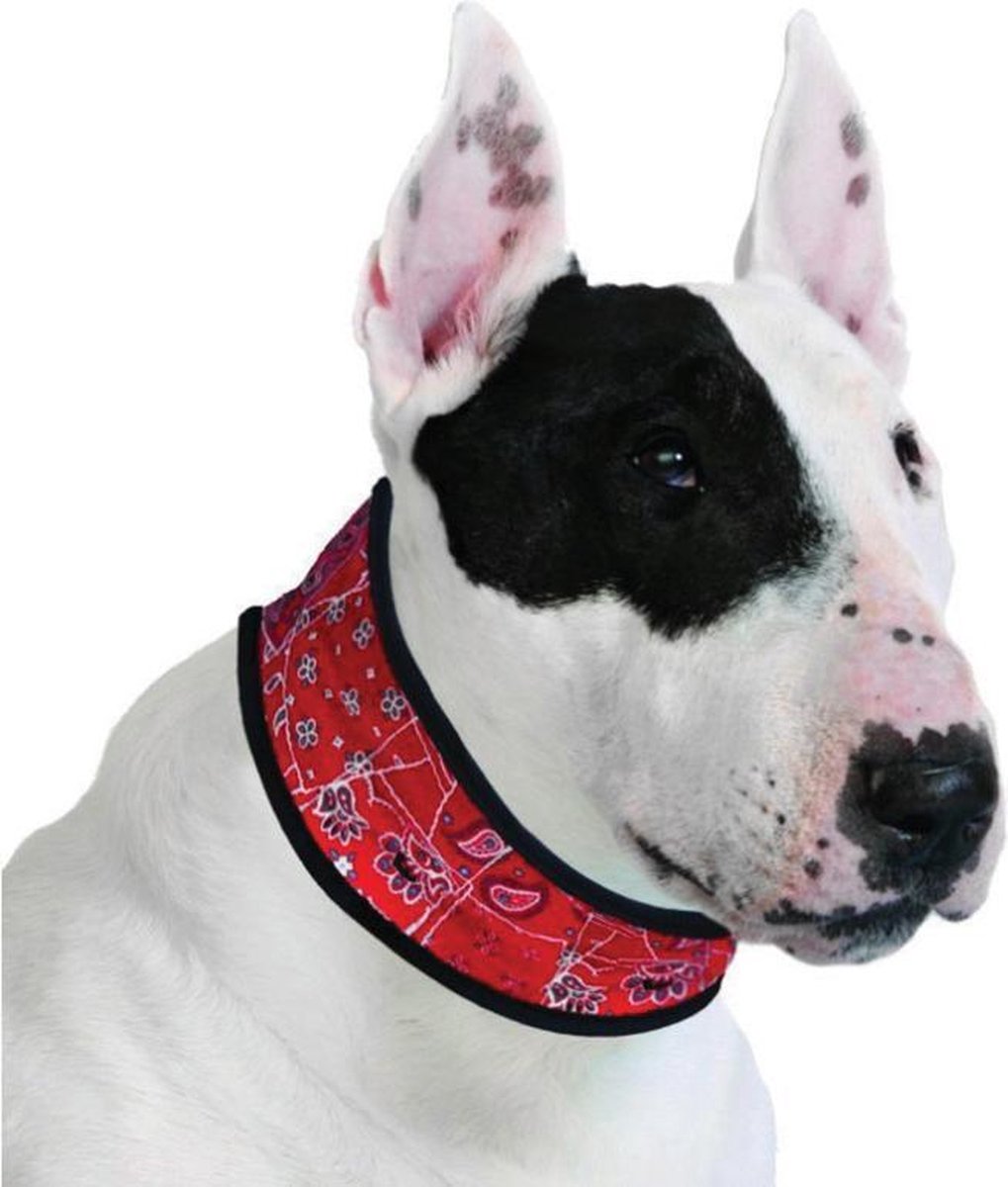 Aqua Coolkeeper Red Western koelhalsband hond - 14-16 cm