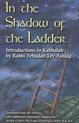 In the Shadow of the Ladder