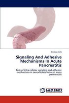 Signaling And Adhesive Mechanisms In Acute Pancreatitis