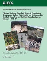 Effects of the Upper Taum Sauk Reservoir Embankment Breach on the Surface- Water Quality and Sediments of the East Fork Black River and the Black River, Southeastern Missouri?2006?07