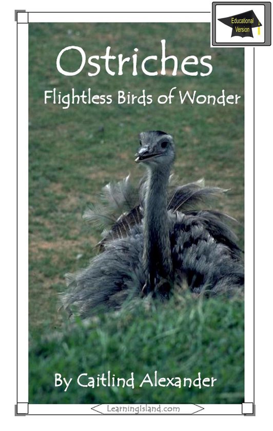 15-Minute Books 418 - Ostriches: Flightless Birds of Wonder: ... - cover