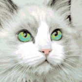 DP® Diamond Painting pakket volwassenen - Afbeelding: Kat Met Felgroene Ogen - 30 x 30 cm volledige bedekking, vierkante steentjes - 100% Nederlandse productie! - Cat.: Dieren - Katten
