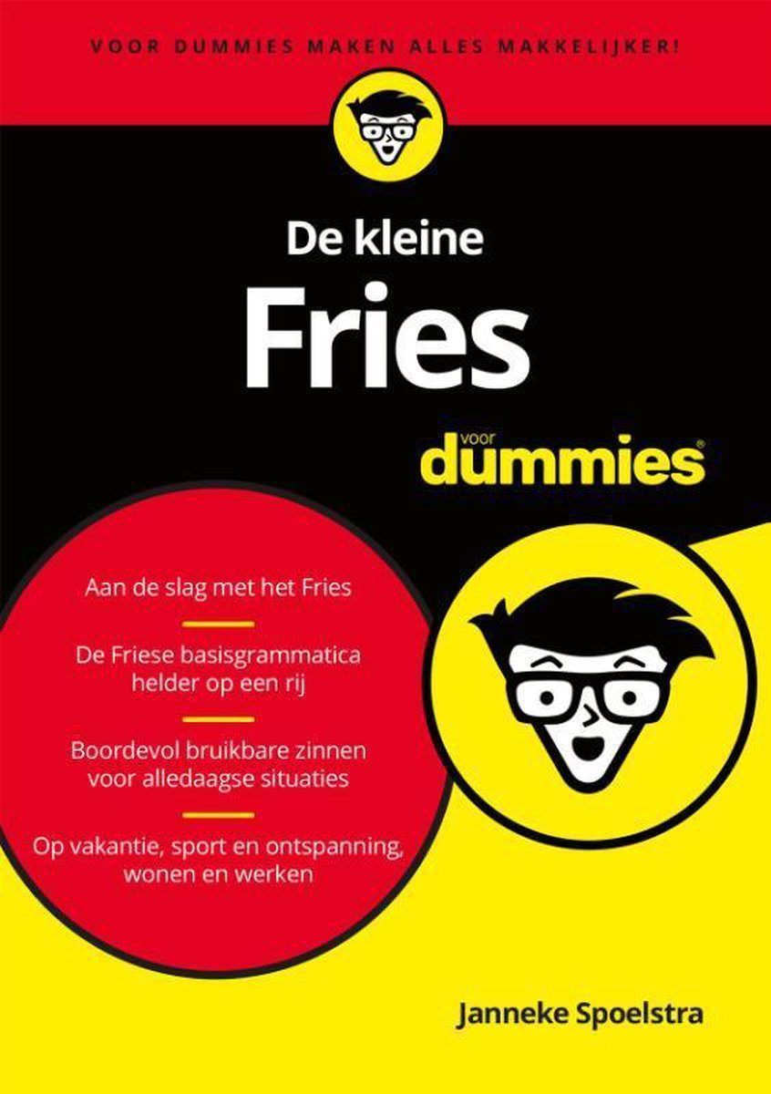 Voor Dummies  -   De kleine Fries voor dummies - Janneke Spoelstra