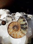 Ketting met Ammoniet Ketting met Ammoniet