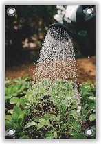 Tuinposter Water over Planten 40x60cm- Foto op Tuinposter (wanddecoratie voor buiten en binnen)