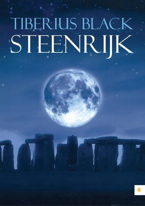 Cover van het boek 'Steenrijk'