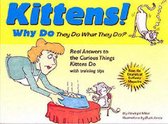 Why Do Kittens Do That?