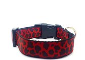 Halsband hond - Izzy - XL (50-70 cm)