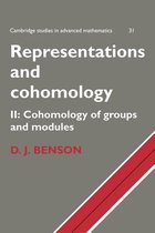 Representations And Cohomology