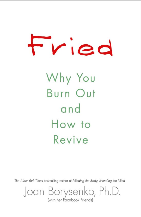 Fried - cover