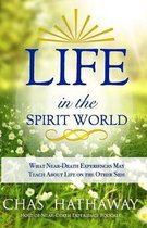 Life in the Spirit World