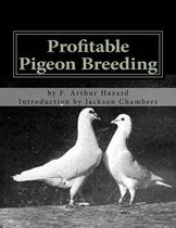 Profitable Pigeon Breeding