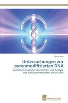 Untersuchungen zur pyrenmodifizierten DNA