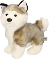 Pluche Husky hond knuffel 24 cm