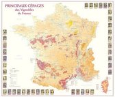 Kaart Cépages des Vignobles de FRANCE poster 77x66cm