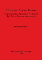 A Thousand Years of Farming: Late Chalcolithic Agricultural Practices at Tell Brak in Northern Mesopotamia