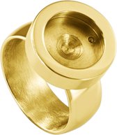 Quiges - RVS Dames Mini Munt Ring Goudkleurig - SLSR00818 - Maat 18