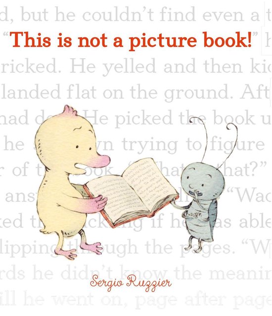 This Is Not a Picture Book! - cover