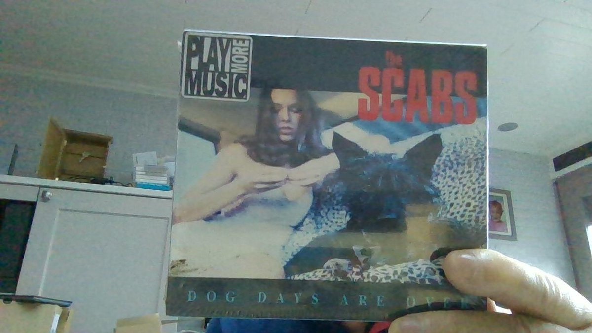 THE SCABS DOG DAYS ARE OVER