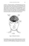 Product afbeelding  13