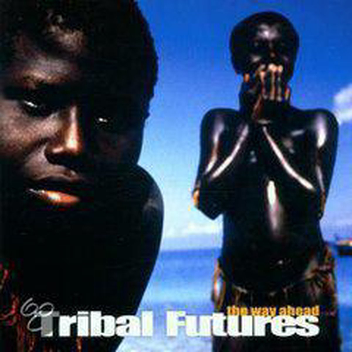 Tribal Features:Way Ahead