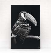 HIP ORGNL Schilderij Tucan - Toekan vogel - 60x90cm - Wanddecoratie dieren - Zwart wit