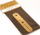 Fender Control Plate Tele goud - Gitaaronderdeel
