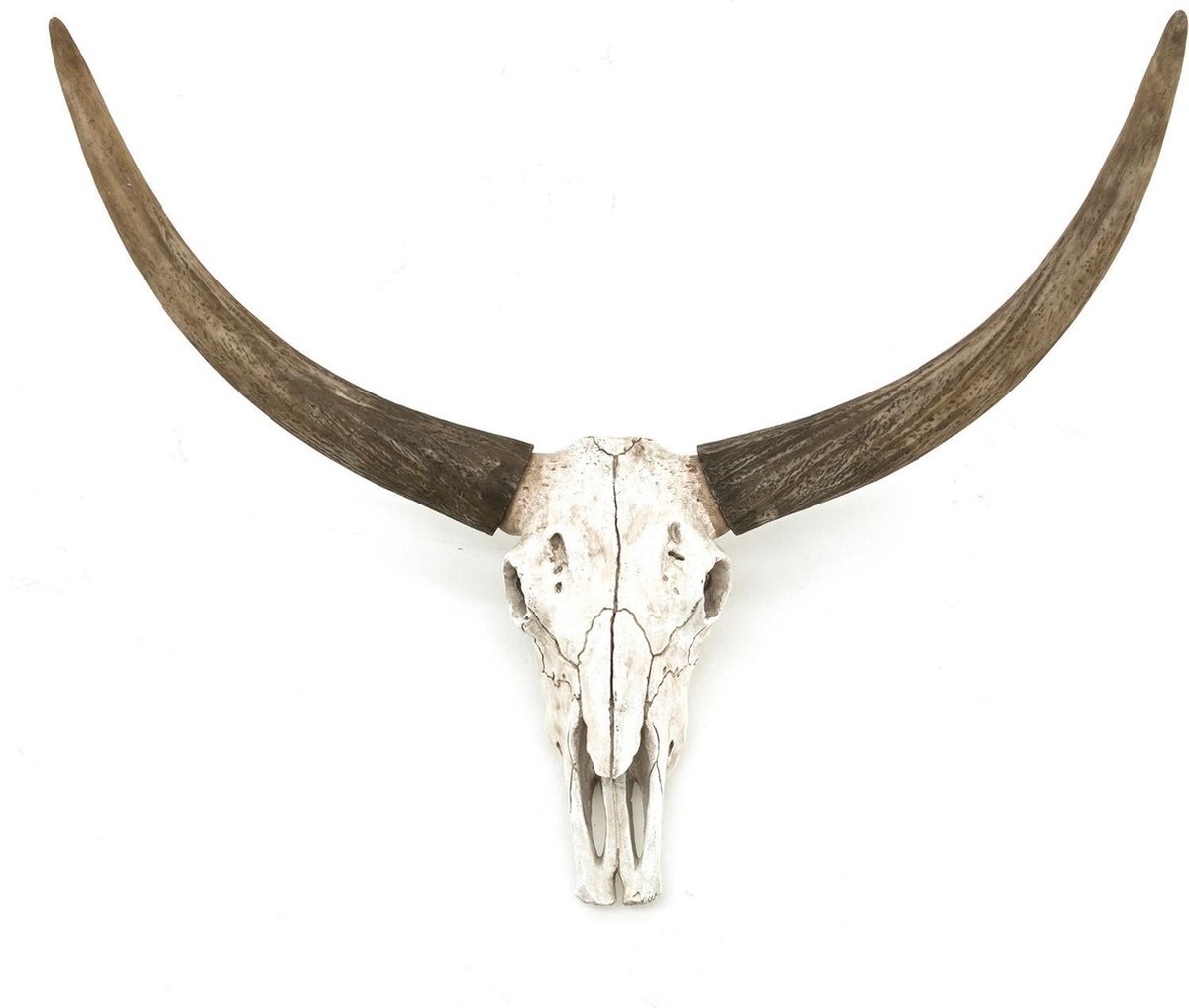 Buffel schedel groot - Skull - Skull voor aan de muur - Wanddecoratie -  Cadeau -... | bol.com