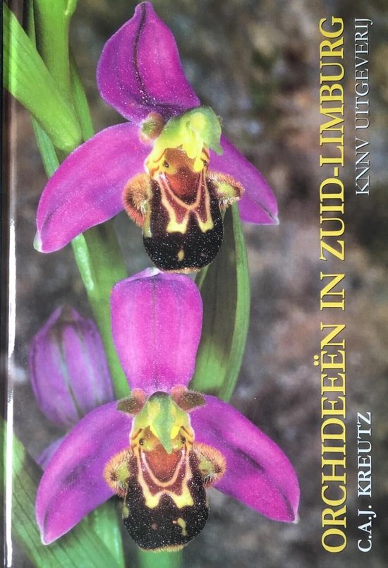 Orchideeen in zuid-limburg - C.A.J. Kreutz | Do-index.org