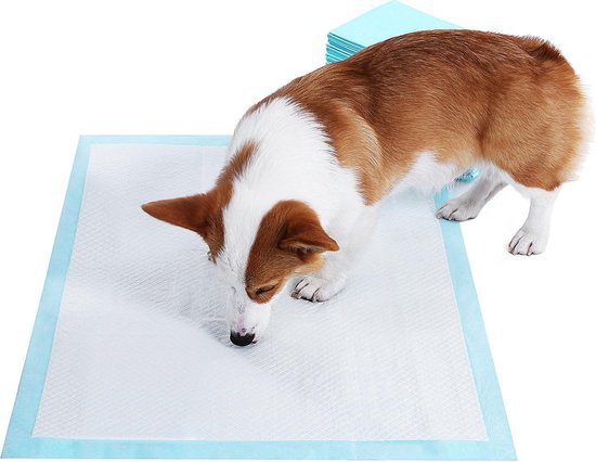 Onderbreking Geroosterd agenda XL Puppy Training Pads - Zindelijkheidstraining - Puppy Zindelijk Maken -  Puppy Toilet... | bol.com