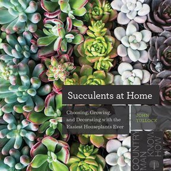 Succulents at Home - cover