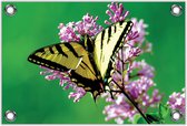 Tuinposter –Geel / Zwarte Vlinder– 60x40 Foto op Tuinposter (wanddecoratie voor buiten en binnen)