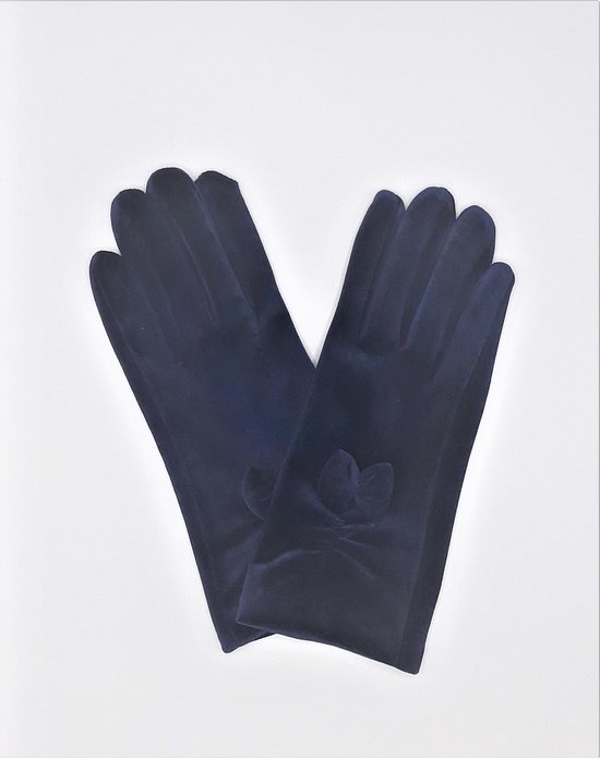 Schrijft een rapport Aquarium Wrijven Blauwe handschoenen met strikje | bol.com