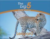 The Big 5 and other wild animals - Leopard