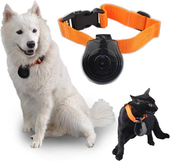 Caméra pour animaux - Caméra pour animaux de compagnie - Caméra