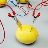 Kit scientifique de diode de lampe de batterie de fruits expérience  d'enseignement de... | bol.com