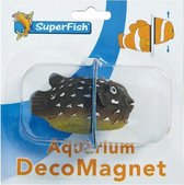 SuperFish Puffer Deco Magneet - Aquariumdecoratie - 6 x 3 cm