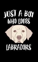 Just A Boy Who Loves Labradors
