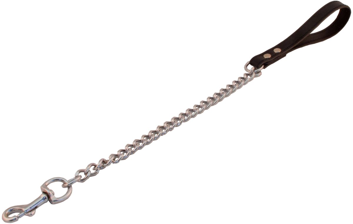 Dog leash with short chain