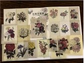 Bloemen Stickers - 40 stuks - Flower Sticker