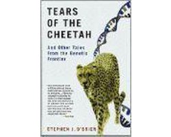 Tears of the Cheetah