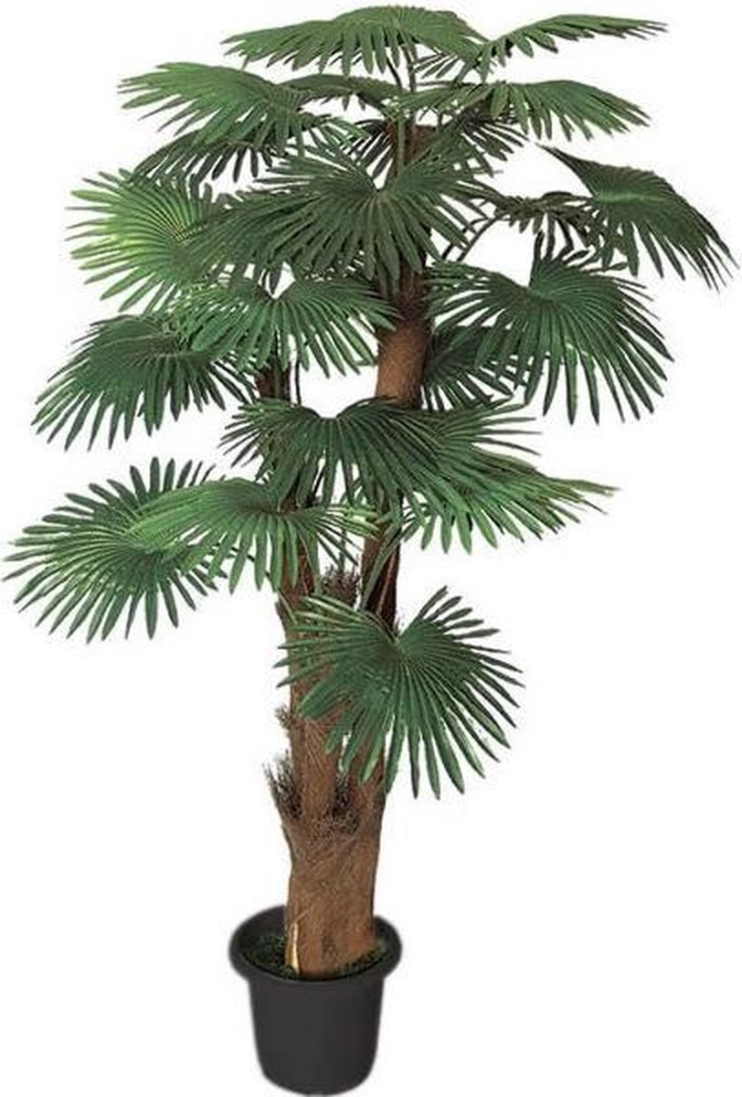 Palmboom 180 cm