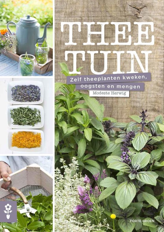 Theetuin
