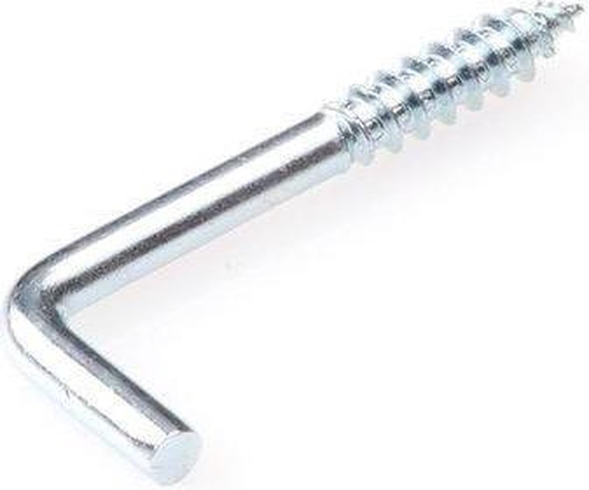 Homefix schroefduimen verzinkt 40mm 8x