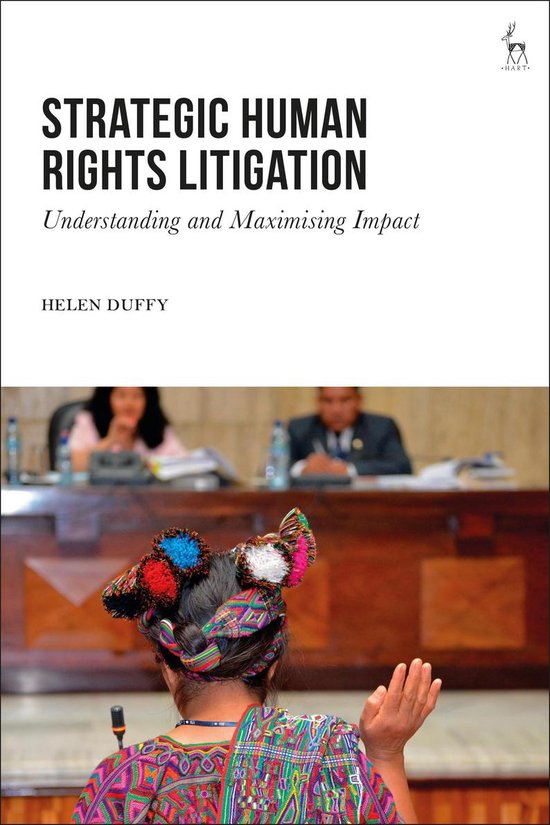 Strategic Human Rights Litigation - cover