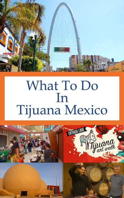 What To Do In What To Do In Tijuana Mexico (ebook), Richard