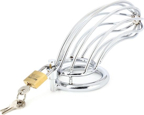 Chastity Cage Device 3 Cage de chasteté en acier inoxydable Prolink  Novelties® | bol.com