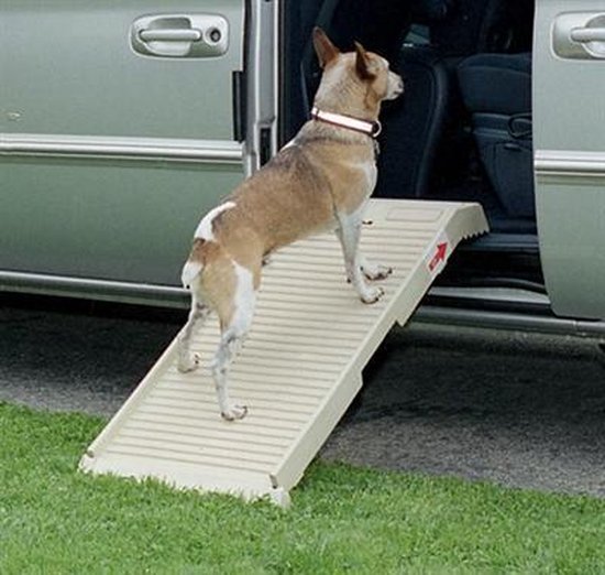 DogStep HalfStep Hondenloopplank 100cm